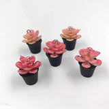 10pcs 3D Green Plant Resin Charms for Jewelry Making DIY Earrings C1207