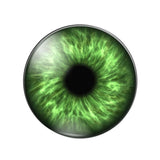 10pcs Dragon Eyes Cat Eye Toys 8mm-25mm Glass Cabochons DIY Accessories