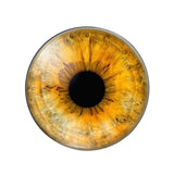 10pcs Dragon Eyes Cat Eye Toys 8mm-25mm Glass Cabochons DIY Accessories