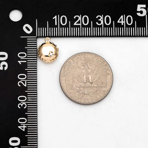10pcs CZ Paved Round Charms 12x10mm, 18K Plated Brass