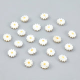 10pcs Shell Beads for DIY Jewelry Making 10x4.5mm