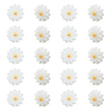 10pcs Shell Beads for DIY Jewelry Making 10x4.5mm
