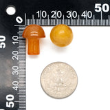 10pcs Gemstone Mushroom Carving Figurines 20mm Mix Material