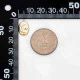 10pcs Oval Moon Star Charms, Earring Findings, DIY Jewelry Making Supplies