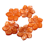 10pcs/Lot 20MM Natural Pearl Oyster Shell Carved Flower Mother Beads