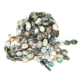 10pcs Abalone Shell Beads Jewelry Making 8~18mm Bracelet Necklace Accessory