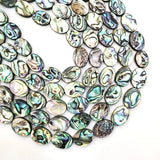 10pcs Abalone Shell Beads Jewelry Making 8~18mm Bracelet Necklace Accessory