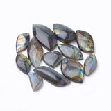 10pcs Natural Labradorite Pendants Mixed Shape DIY Jewelry Accessories