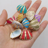 10pcs Natural Shell Beads Scallop Shape for DIY Jewelry Necklace 25-30mm