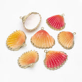 10pcs Plated Shell Pendants, Beach Theme Jewelry Supplies