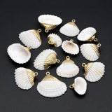 10pcs Plated Shell Pendants, Natural Shell Charms