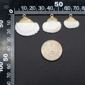 10pcs Plated Shell Pendants, Natural Shell Charms