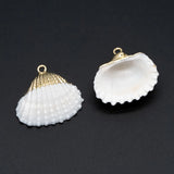 10pcs Plated Shell Pendants, Natural Shell Charms