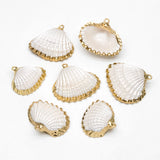 10pcs Plated Shell Pendants, White/ Aqua/ Pink (#V1388)