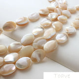 10pcs Oval Natural Shell Horseshoe Shell Straight Hole Beading Accessories