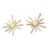 10pcs Raw Brass Sun Flower Charms Pendant DIY Jewelry Making