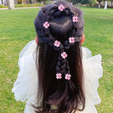10pcs Mini Hairpin Tiara Resin Flower Women's Crab Claw Headwear Girl Hair Clips