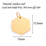 10pcs Stainless Steel Hexagon Tag Charms 15x15.5mm For Jewelry Making