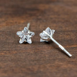 Sterling Silver Star Stud Earrings, CZ Ear Findings