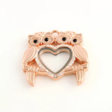 10pcs Owl Heart Glass Floating Memory Charms Locket Pendant Bulk