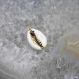10pcs Golden Plated Cowrie Shell Charms Enamel Coated Jewelry Bulk