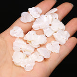 10pcs Natural Shell Leaf Pendant Charms for Jewelry Making DIY