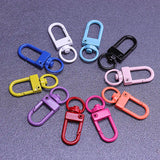 10pcs Paint Baking Keychains Key Chain Spring Buckle Shrimp Buckle