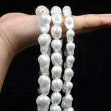 Shell Bead Charm for DIY Jewelry Making 10x15mm 12x15mm 15x22mm