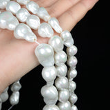 Shell Bead Charm for DIY Jewelry Making 10x15mm 12x15mm 15x22mm