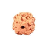 img_14614333