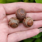 11pcs Natural Three Eyes Pattern Ancient Dzi Bead Agate Multi-Shape DIY