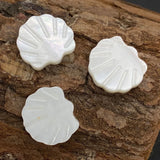 11x12mm Shell Beaded Scallop Spacer Loose Beads for Jewelry Making