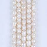 12-13mm Oval Natural Pearl Beads Freshwater Punched Pearl Beads