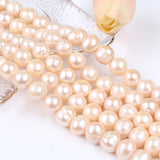 12-13mm Potato Freshwater Pearl Strand for Jewelry Making