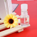 12 Bottles Epoxy Resin Sealant Jewelry Mold Polishing Oil
