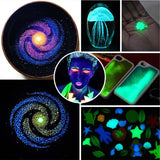 Luminous Powder Glow in The Dark Pigment Powder for Resin Art