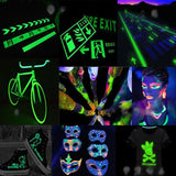 12 Colors Glow In Dark Resin Pigment Kit Luminous Powder Colorant