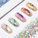 12 Colors Holographic Chunky Glitter Set