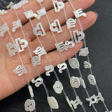 Zodiac Shell Bead Charm for DIY Jewelry Making