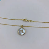 12 Zodiac Sea Shell Carved Pendant Necklace