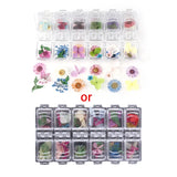 12 Grid Dried Flowers for Resin Jewelry Molds