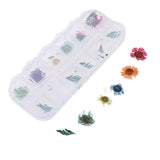 12 Grid Dried Flowers for Resin Jewelry Molds