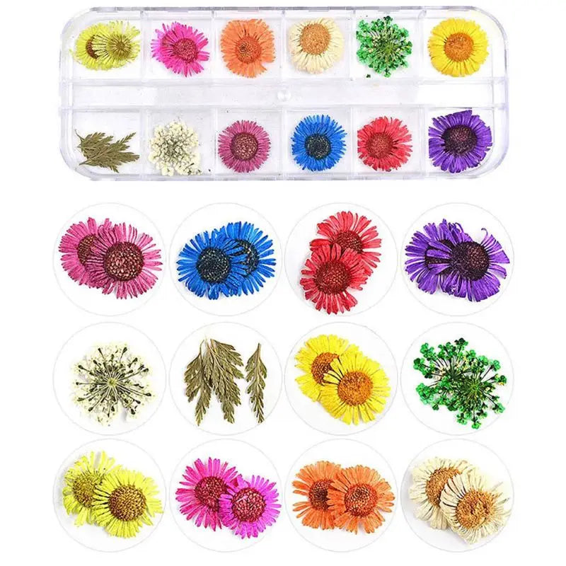 12 Grid Dried Flowers for Resin Jewelry Molds