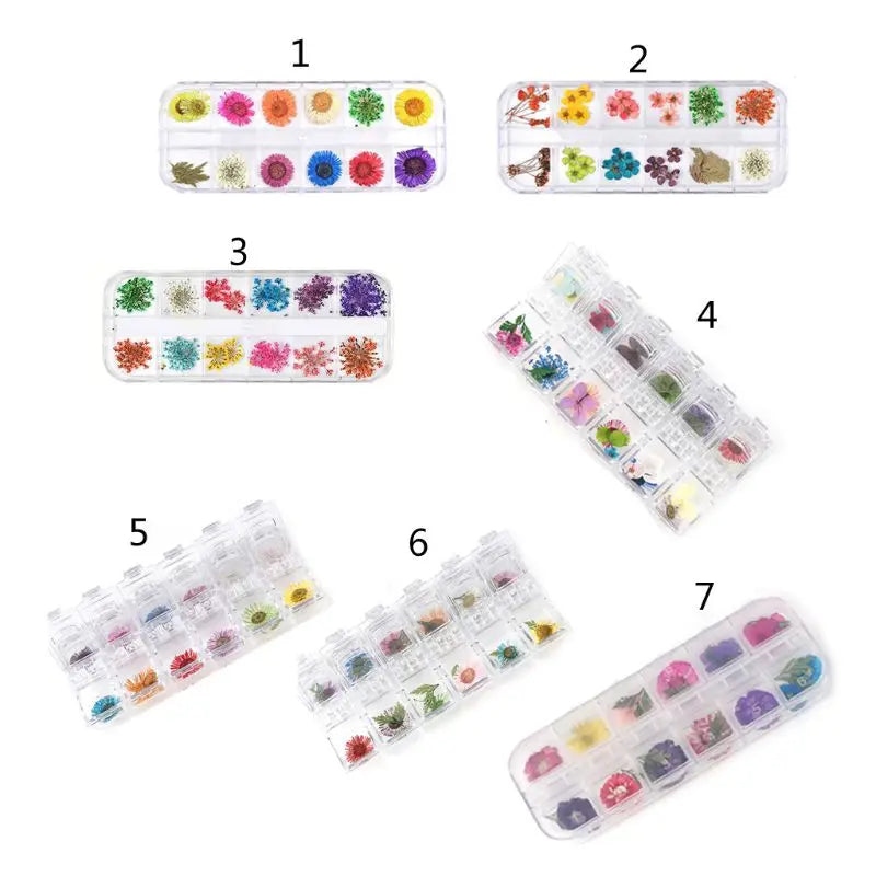12 Grid Dried Flowers for Resin Jewelry Molds