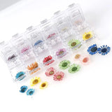 12 Grid Dried Flowers for Resin Jewelry Molds