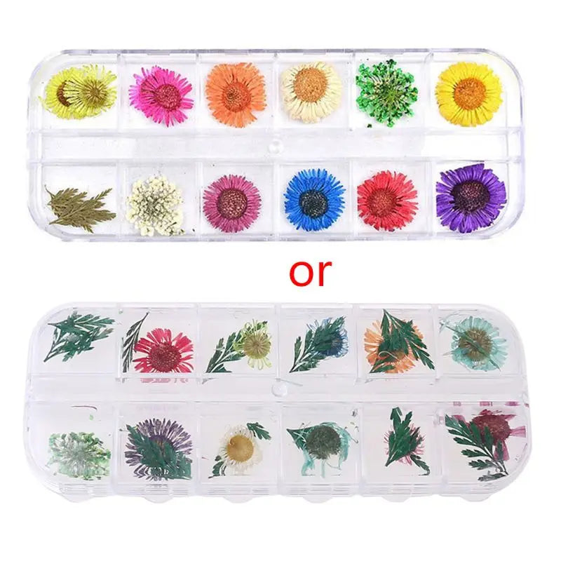 12 Grid Dried Flowers for Resin Jewelry Molds