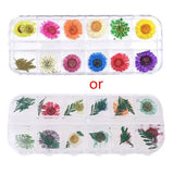 12 Grid Dried Flowers for Resin Jewelry Molds