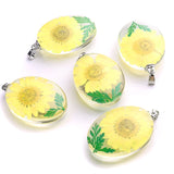 Preserved Narcissus Petal Charms Dried Flower Glass Pendant