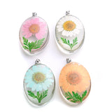 Preserved Narcissus Petal Charms Dried Flower Glass Pendant