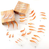 12 Pcs 3D Goldfish Stickers for DIY Jewelry Making Painting Filling